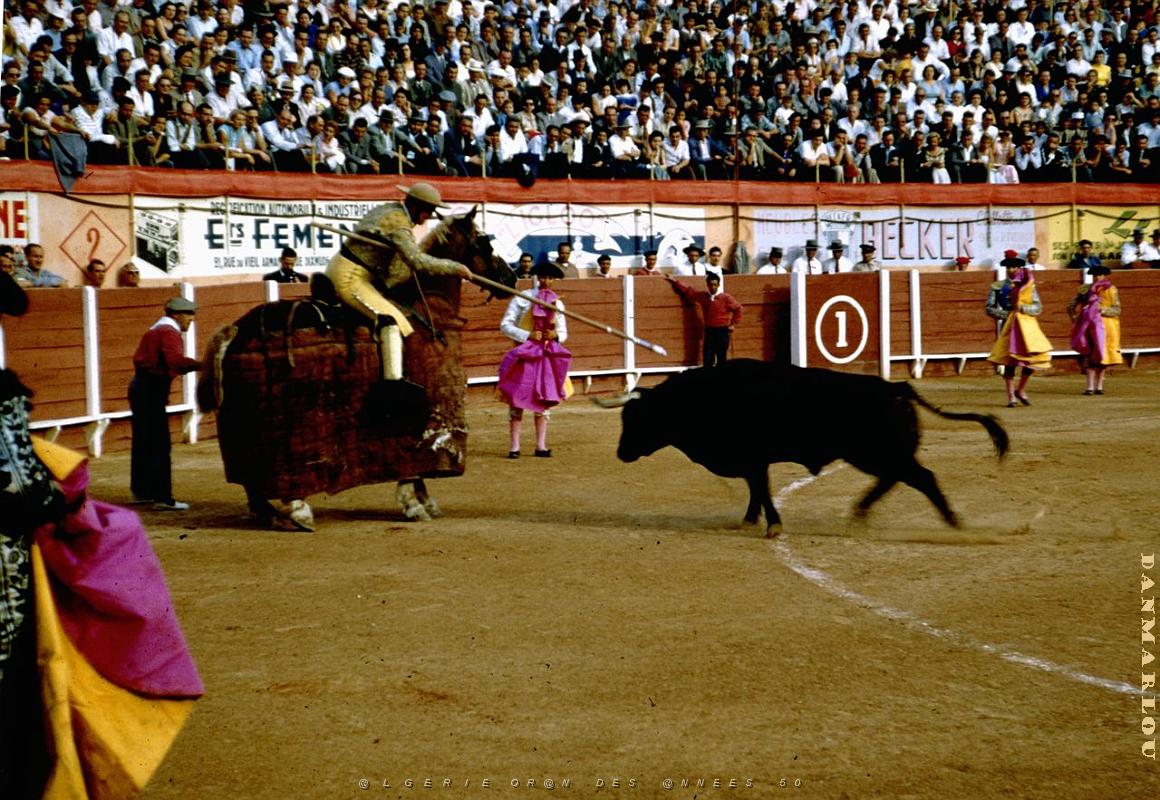 Oran- Arenes d' Eckmulh 42.jpg